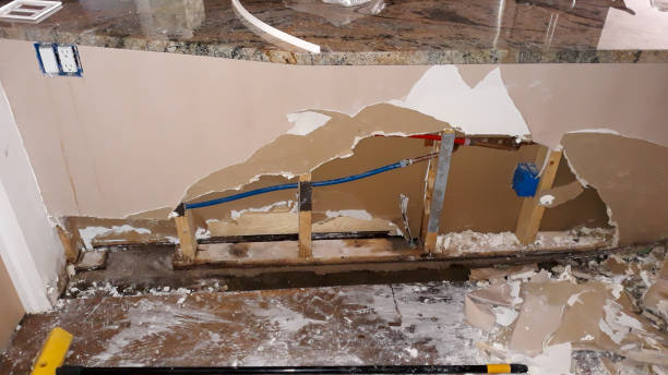 Best Professional water damage repair  in Hillsborough, NC