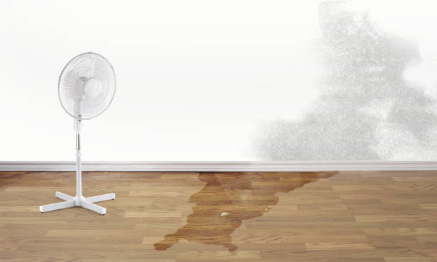 Best Sewage cleanup and water damage restoration  in Hillsborough, NC