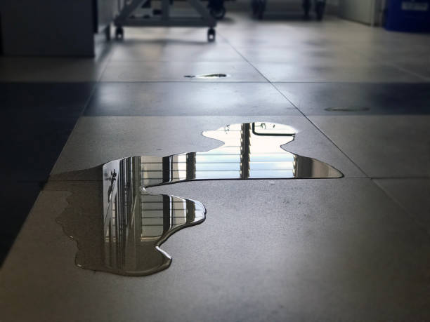 Best 24/7 water damage repair  in Hillsborough, NC