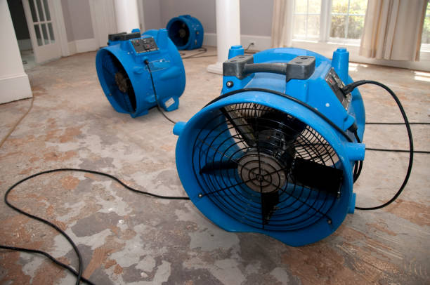 Best Ceiling water damage repair  in Hillsborough, NC