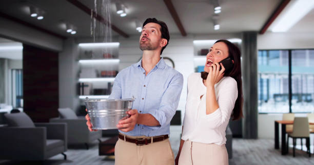 Best Water damage restoration mold remediation  in Hillsborough, NC