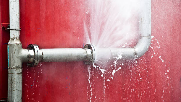Best Basement water damage restoration  in Hillsborough, NC