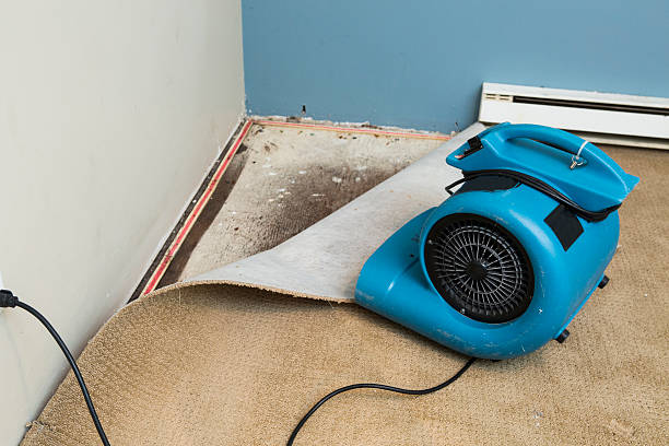 Best Flood damage cleanup  in Hillsborough, NC