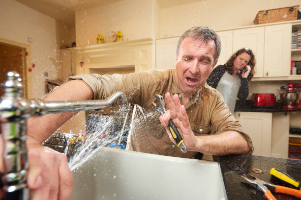 Best Flood damage cleanup  in Hillsborough, NC